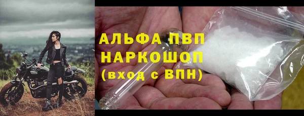 прущие грибы Абдулино