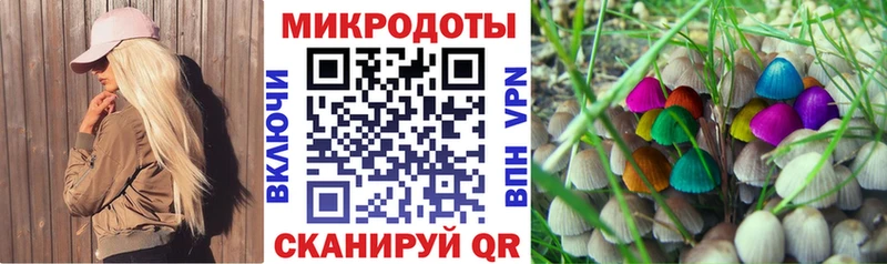 блэк спрут зеркало  Дыгулыбгей  Галлюциногенные грибы GOLDEN TEACHER  магазин   